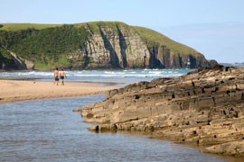 Coffee Beach