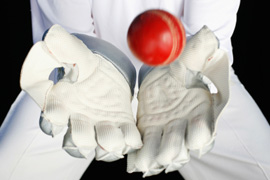 Action Cricket Ball