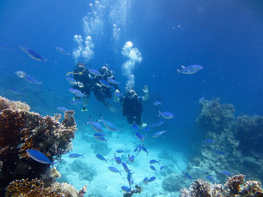 Deep Sea Diving South Africa