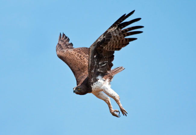 Lawrence de Lange Nature Reserve, Eastern Cape