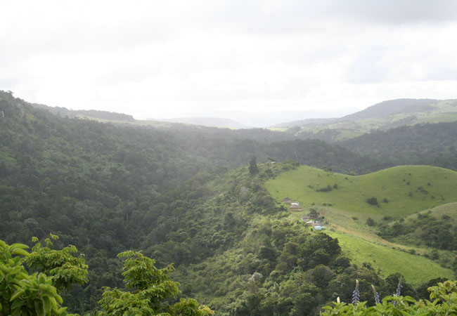 Hluleka Nature Reserve, Eastern Cape