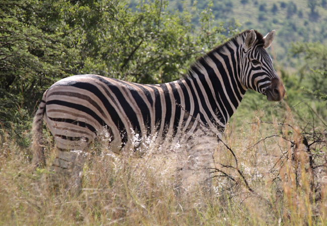 Caledon Nature Reserve, Free State