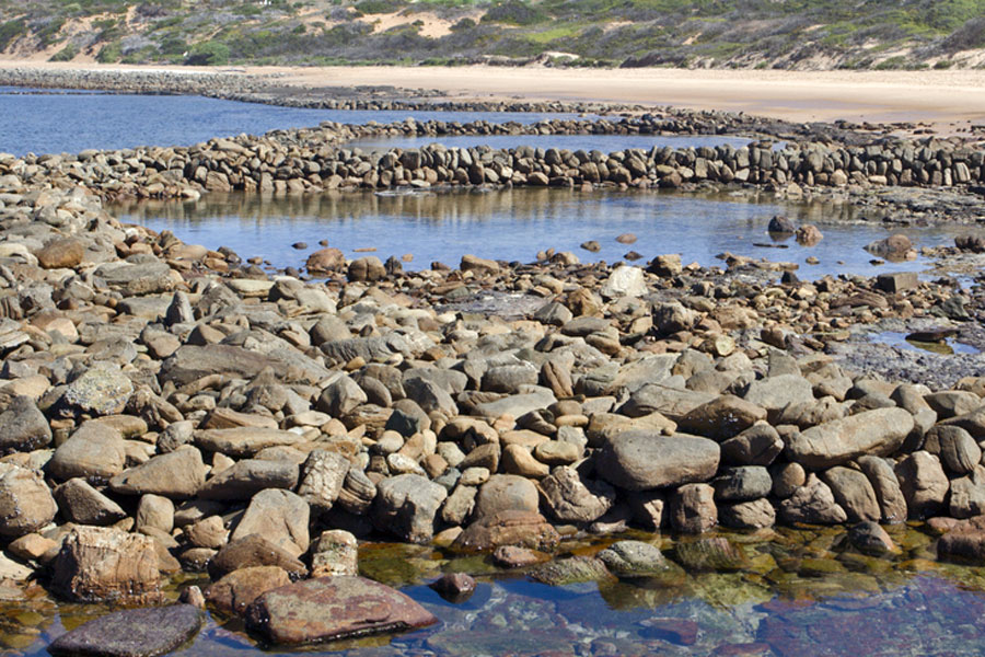 Arrawarra fish traps