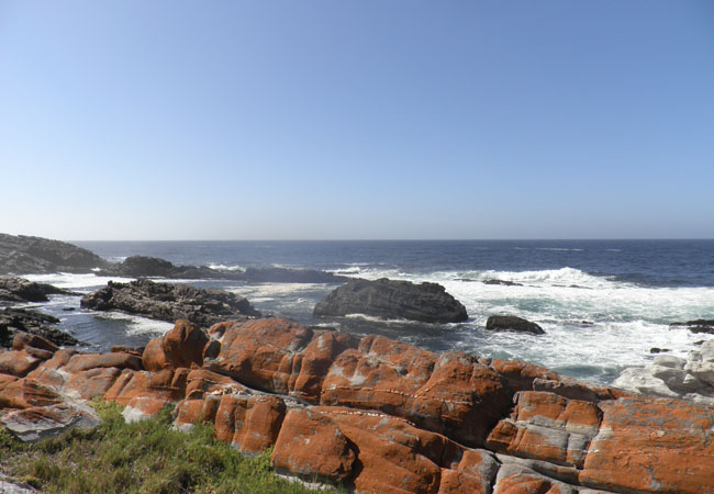 Goukamma Nature Reserve, Garden Route