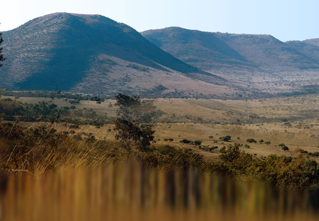 Oori Nature Reserve Gauteng