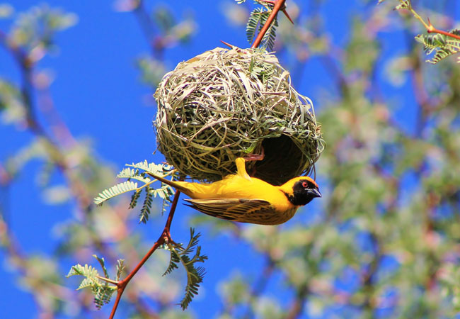 TC Robertson Nature Reserve, KwaZulu Natal