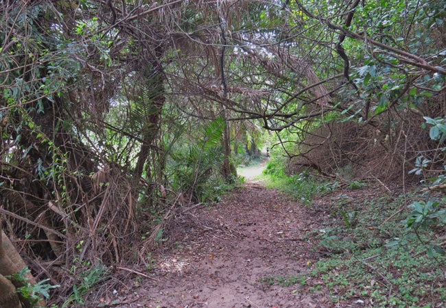 Mpenjati Nature Reserve, KwaZulu Natal