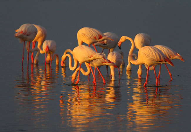 Chelmsford Nature Reserve, KwaZulu Natal