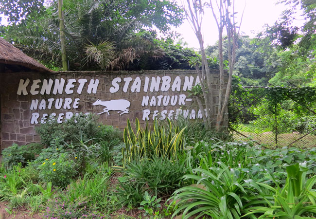 Kenneth Stainbank Nature Reserve, KwaZulu Natal