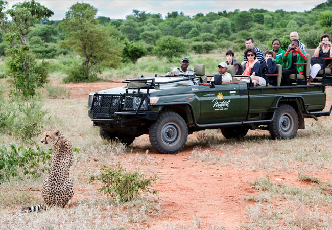 Makalali Game Reserve, Limpopo