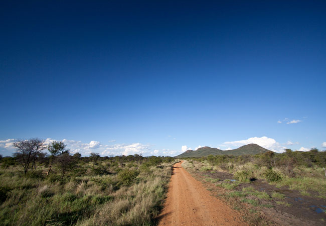 Madikwe Game Reserve North West Province   2 