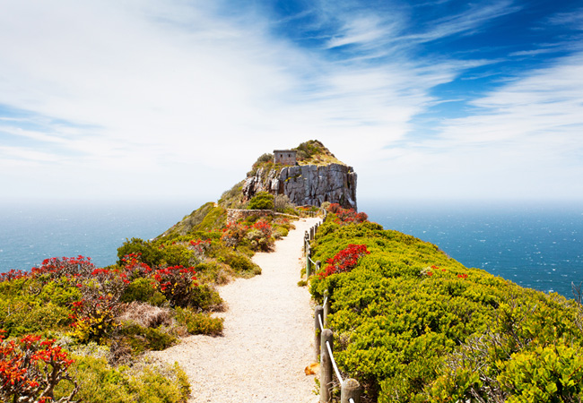 cape-of-good-hope-nature-reserve-cape-town