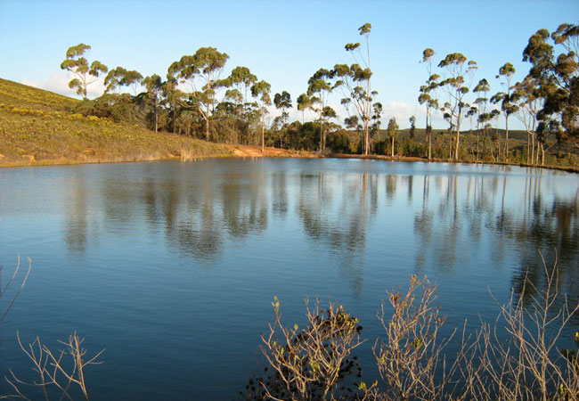 De Hoop Nature Reserve, Western Cape