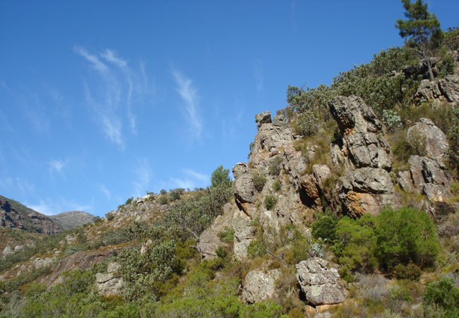 Limietberg Nature Reserve, Western Cape