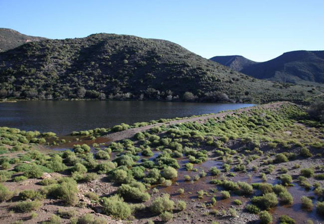 Kammanassie Nature Reserve Western Cape