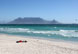 Cape Town Beaches