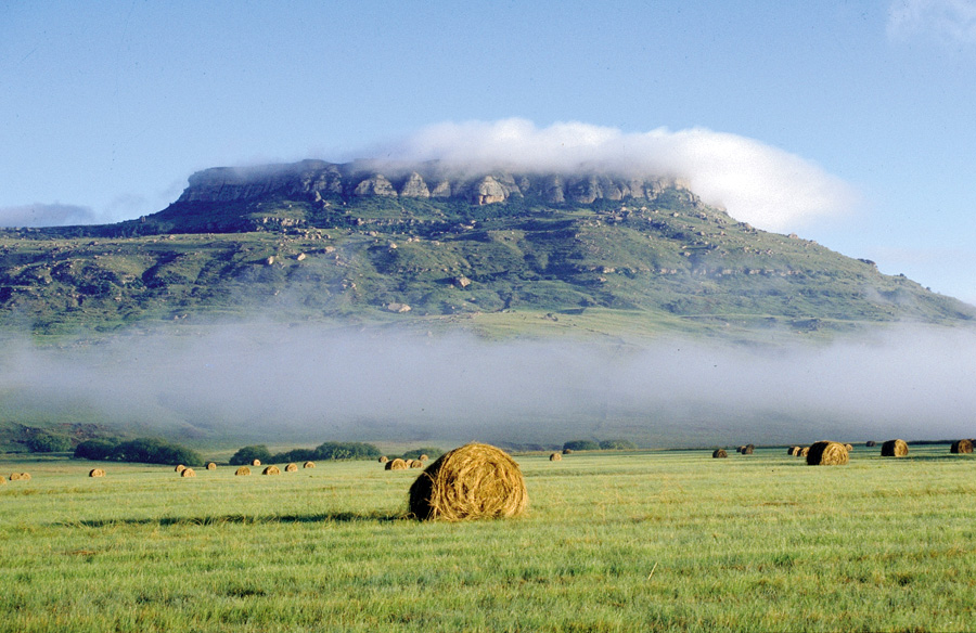 Free State, South Africa