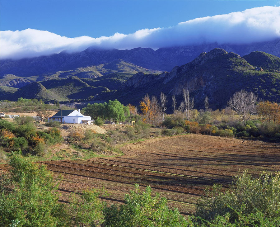 Karoo Hoogland Municipality In The Karoo Region Northern Cape South   1b 