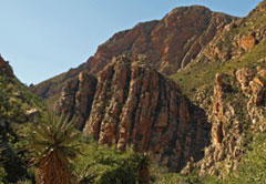 Towerkop Nature Reserve