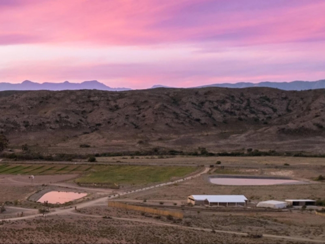 Aardvark Bioreserve in Ladismith, Western Cape