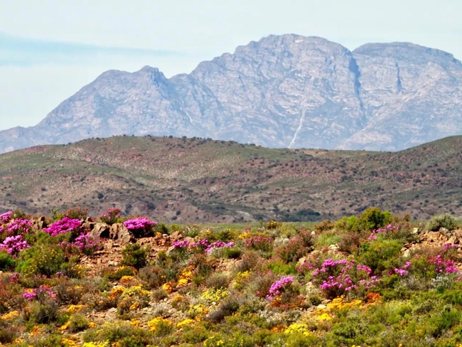 Aardvark Bioreserve