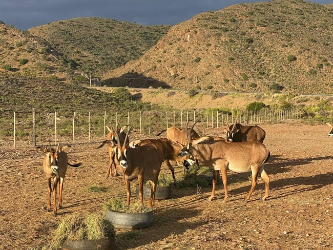 Aardvark Bioreserve in Ladismith, Western Cape