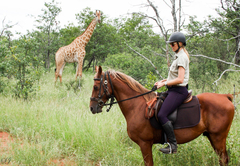 Abelana Safari Camp