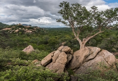 Abelana Safari Camp