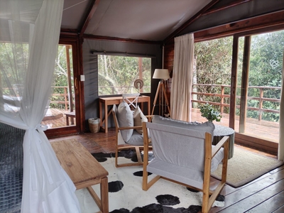 Barefoot Addo Elephant Lodge