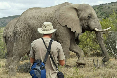 Barefoot Addo Elephant Lodge