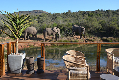 Barefoot Addo Elephant Lodge