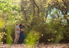 AfriCamps at Magoebaskloof