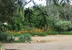 Aloe Accommodation