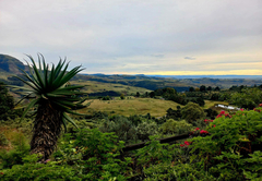 Aloe Cottage