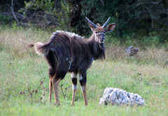 Aloe Grove Guest Farm