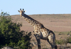 Aloe Grove Guest Farm