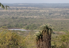 Aloe View Rock Lodge Views