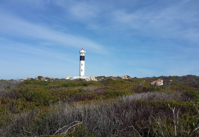 At Pringle Bay