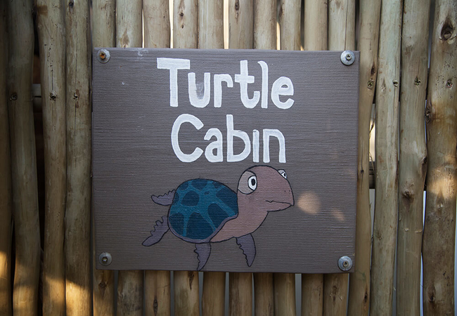 Turtle Cabin