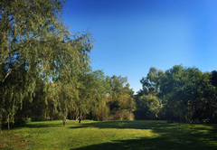 Garden on the River