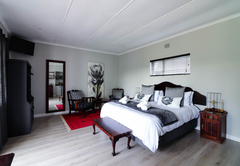 King Protea Guestroom