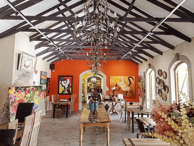 Art & Soul in Parys