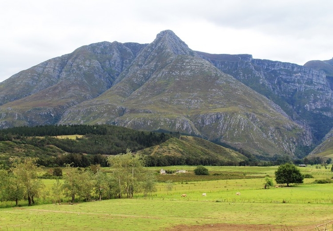 Arumvale in Swellendam