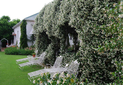 A Tapestry Garden Guest House