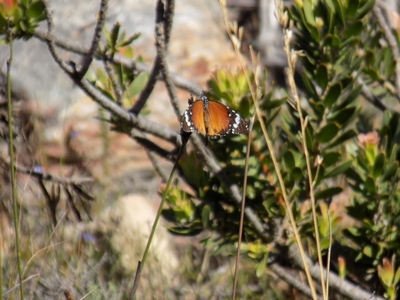 Avani Private Nature Reserve