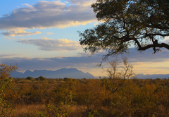 Baobab Ridge Lodge