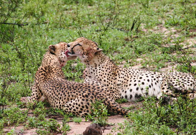 Baobab Ridge Lodge