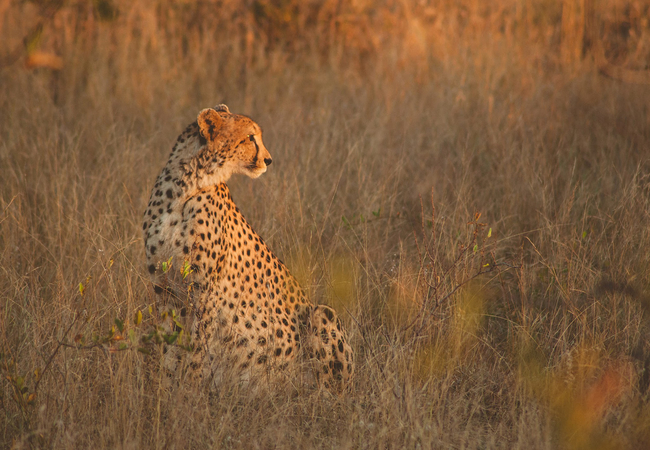 Baobab Ridge Lodge