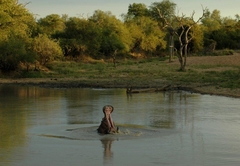 Baobab Ridge Lodge