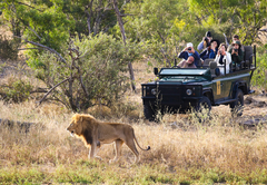 Baobab Ridge Lodge